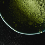 Image 1 of Order Kratom In Bulk From KRATOMade—Elevating Trust With Consistent Quality