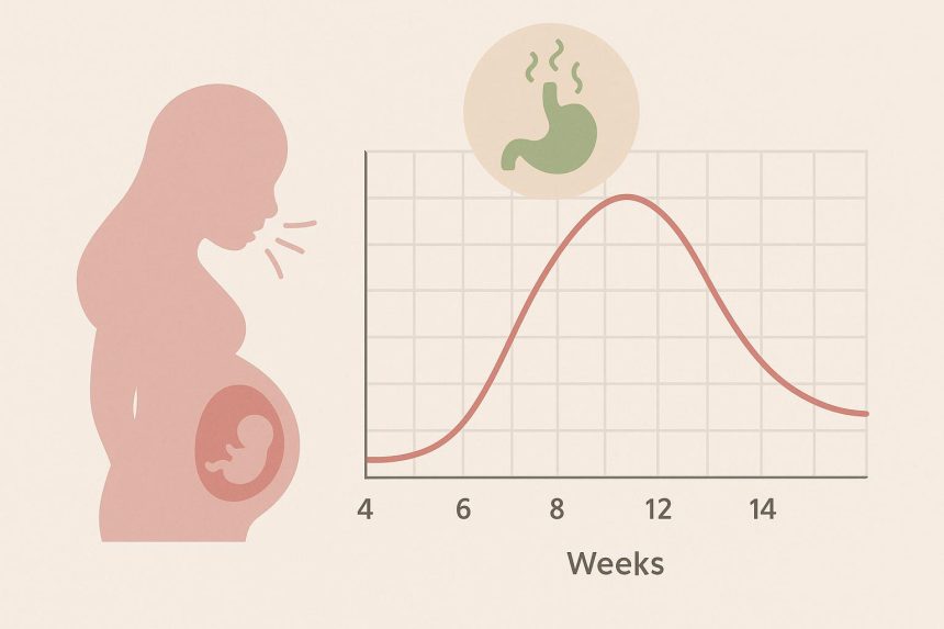 Pregnant woman holding stomach, experiencing nausea during early stages of pregnancy