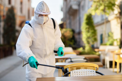 Image 1 of How Raleigh Pest Control Services Can Protect Your Home Year-Round