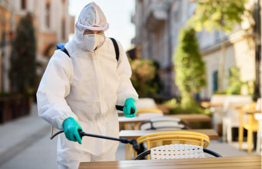 Image 1 of How Raleigh Pest Control Services Can Protect Your Home Year-Round