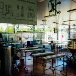 Why Pest Compliance Matters in Food Manufacturing Facilities