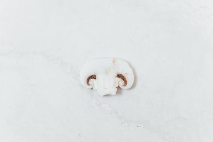 Image 1 of 6 Ways to Incorporate Lion’s Mane into Daily Wellness