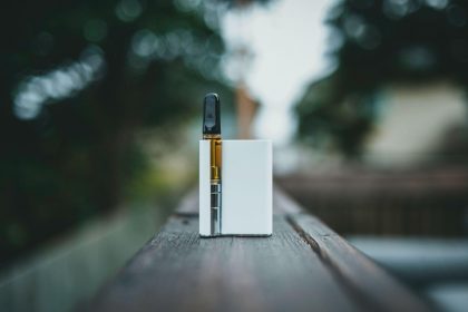 Image 1 of Different Types of Disposable Vape Devices Explained