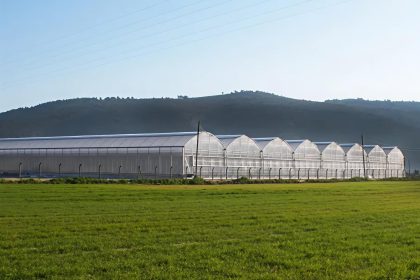 Image 1 of Geometry as a Defensive Barrier: Why Gothic Peaks Outperform Arched Roofs