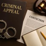 Courtroom scene in South Florida highlighting legal documents for a criminal appeal process