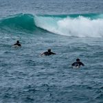 Image 1 of From Competition Heats to Open Water, How Surfing Grew Up Alongside Nate Panza